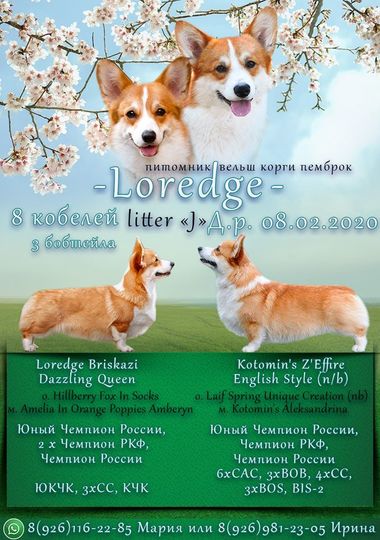 питомник лоредж